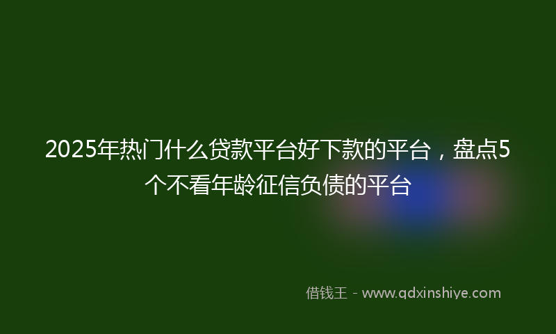 2025年热门什么贷款平台好下款的平台，盘点5个不看年龄征信负债的平台