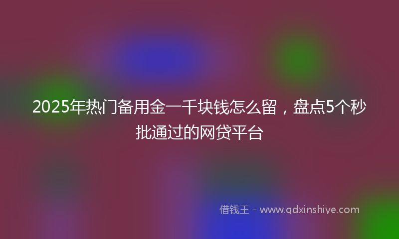 2025年热门备用金一千块钱怎么留，盘点5个秒批通过的网贷平台