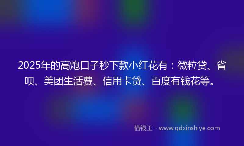 2025年的高炮口子秒下款小红花有：微粒贷、省呗、美团生活费、信用卡贷、百度有钱花等。