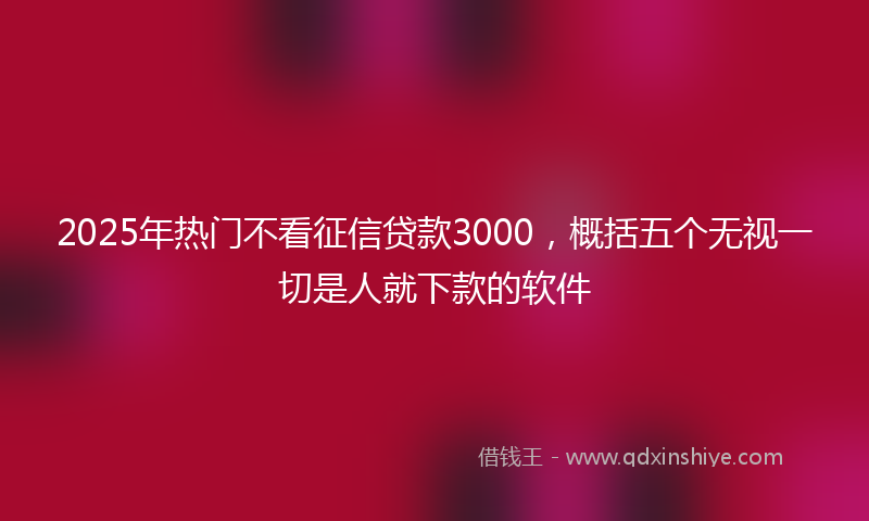 2025年热门不看征信贷款3000，概括五个无视一切是人就下款的软件