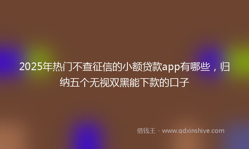 2025年热门不查征信的小额贷款app有哪些，归纳五个无视双黑能下款的口子