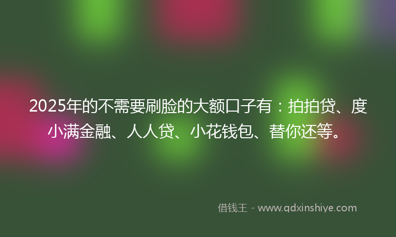 2025年的不需要刷脸的大额口子有：拍拍贷、度小满金融、人人贷、小花钱包、替你还等。