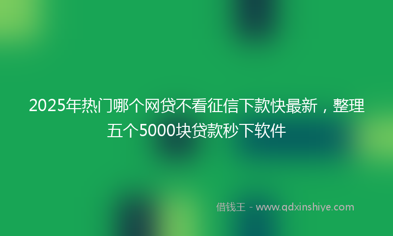 2025年热门哪个网贷不看征信下款快最新，整理五个5000块贷款秒下软件