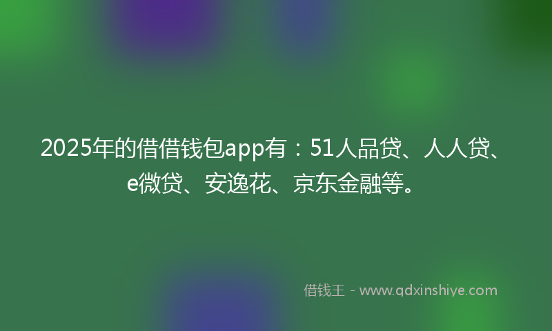 2025年的借借钱包app有：51人品贷、人人贷、e微贷、安逸花、京东金融等。