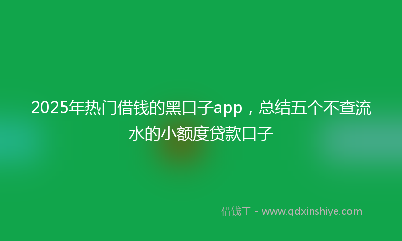2025年热门借钱的黑口子app，总结五个不查流水的小额度贷款口子