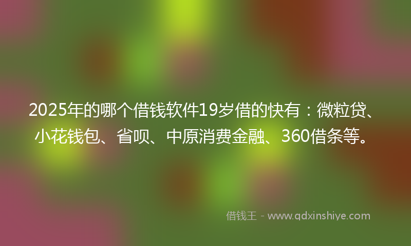 2025年的哪个借钱软件19岁借的快有：微粒贷、小花钱包、省呗、中原消费金融、360借条等。