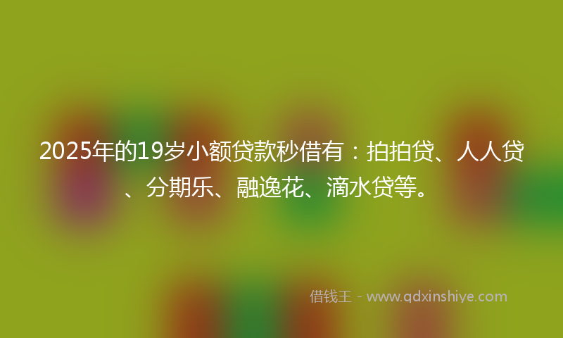 2025年的19岁小额贷款秒借有：拍拍贷、人人贷、分期乐、融逸花、滴水贷等。