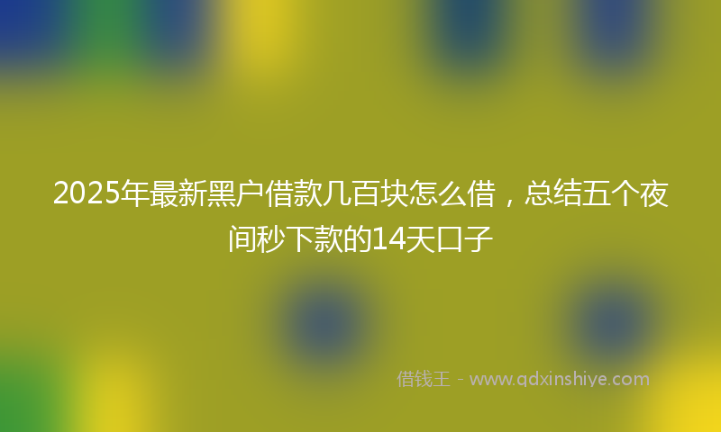 2025年最新黑户借款几百块怎么借，总结五个夜间秒下款的14天口子