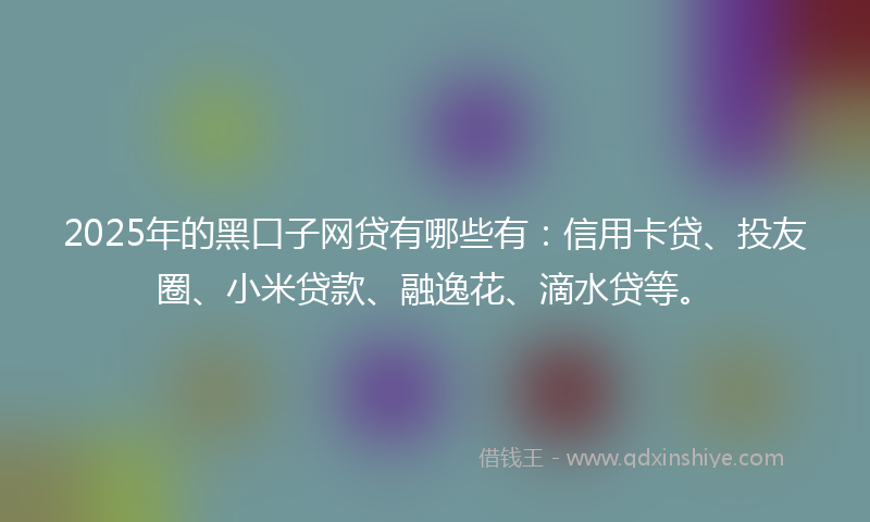 2025年的黑口子网贷有哪些有：信用卡贷、投友圈、小米贷款、融逸花、滴水贷等。