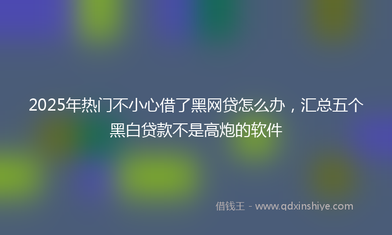 2025年热门不小心借了黑网贷怎么办，汇总五个黑白贷款不是高炮的软件