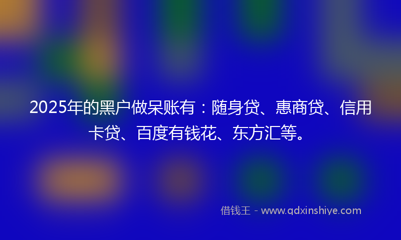 2025年的黑户做呆账有：随身贷、惠商贷、信用卡贷、百度有钱花、东方汇等。