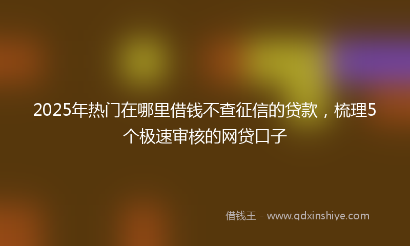 2025年热门在哪里借钱不查征信的贷款，梳理5个极速审核的网贷口子