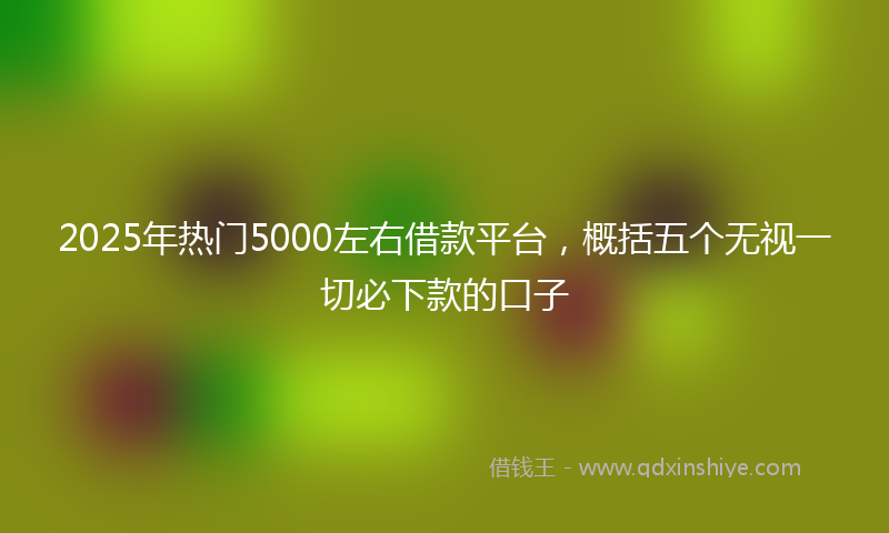 2025年热门5000左右借款平台，概括五个无视一切必下款的口子