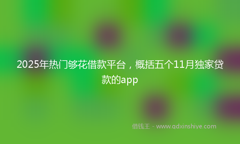 2025年热门够花借款平台，概括五个11月独家贷款的app