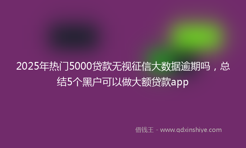 2025年热门5000贷款无视征信大数据逾期吗，总结5个黑户可以做大额贷款app