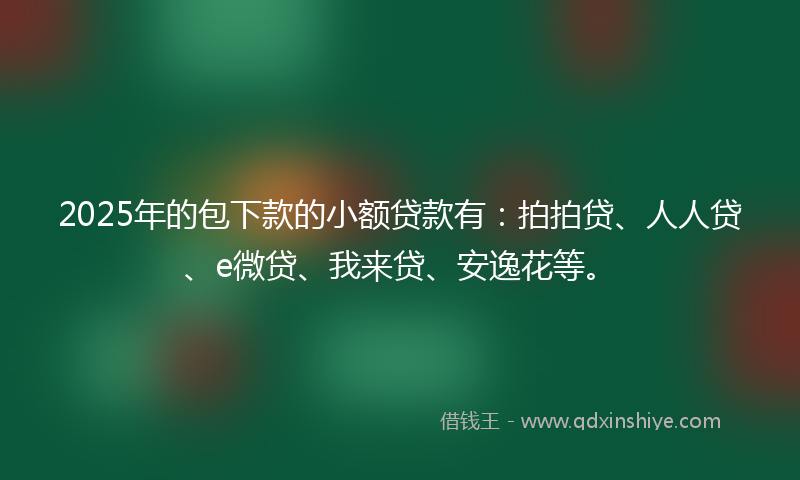 2025年的包下款的小额贷款有：拍拍贷、人人贷、e微贷、我来贷、安逸花等。