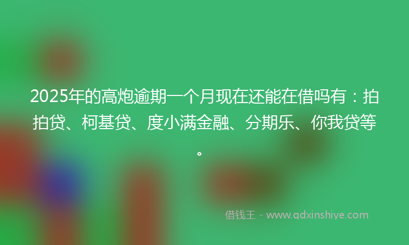 2025年的高炮逾期一个月现在还能在借吗有：拍拍贷、柯基贷、度小满金融、分期乐、你我贷等。