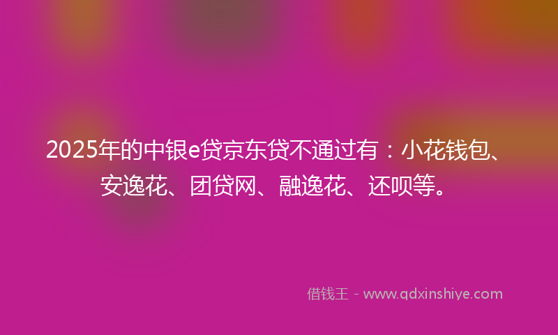 2025年的中银e贷京东贷不通过有：小花钱包、安逸花、团贷网、融逸花、还呗等。