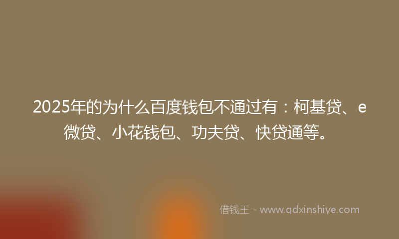 2025年的为什么百度钱包不通过有：柯基贷、e微贷、小花钱包、功夫贷、快贷通等。