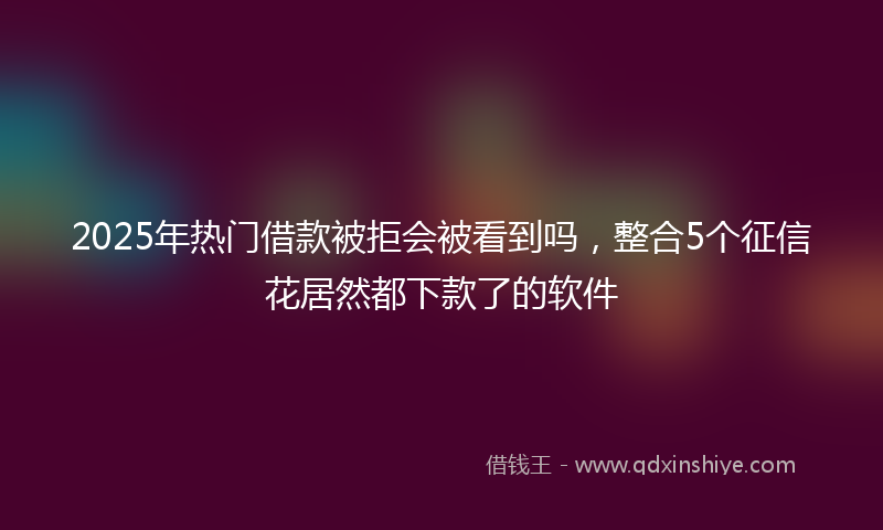 2025年热门借款被拒会被看到吗，整合5个征信花居然都下款了的软件