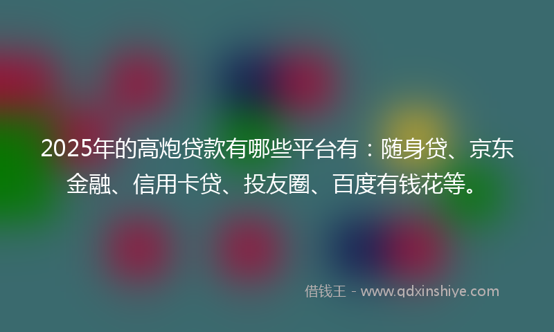 2025年的高炮贷款有哪些平台有：随身贷、京东金融、信用卡贷、投友圈、百度有钱花等。