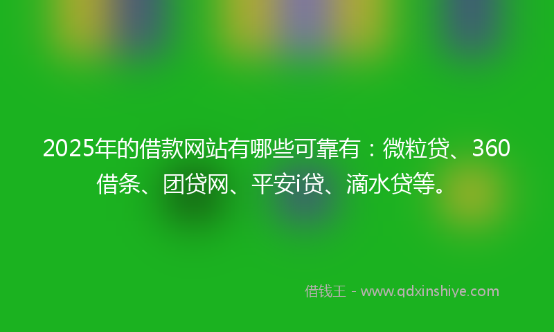 2025年的借款网站有哪些可靠有：微粒贷、360借条、团贷网、平安i贷、滴水贷等。