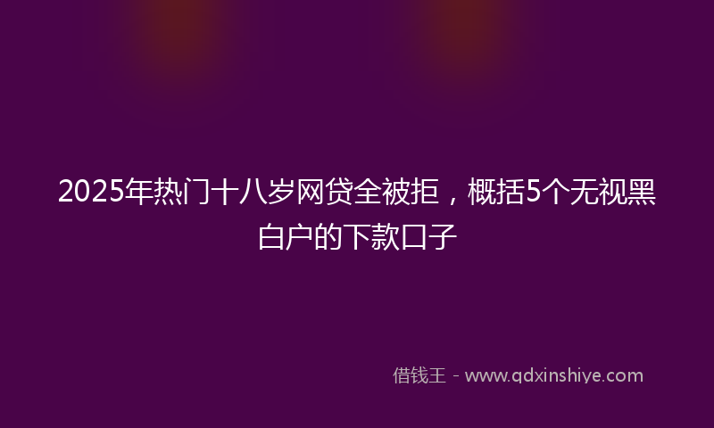 2025年热门十八岁网贷全被拒，概括5个无视黑白户的下款口子