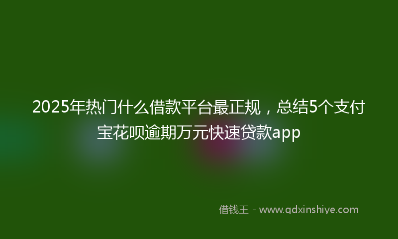 2025年热门什么借款平台最正规，总结5个支付宝花呗逾期万元快速贷款app