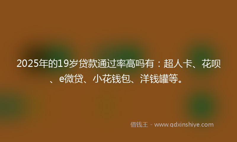 2025年的19岁贷款通过率高吗有：超人卡、花呗、e微贷、小花钱包、洋钱罐等。
