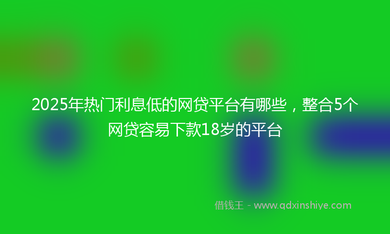 2025年热门利息低的网贷平台有哪些，整合5个网贷容易下款18岁的平台