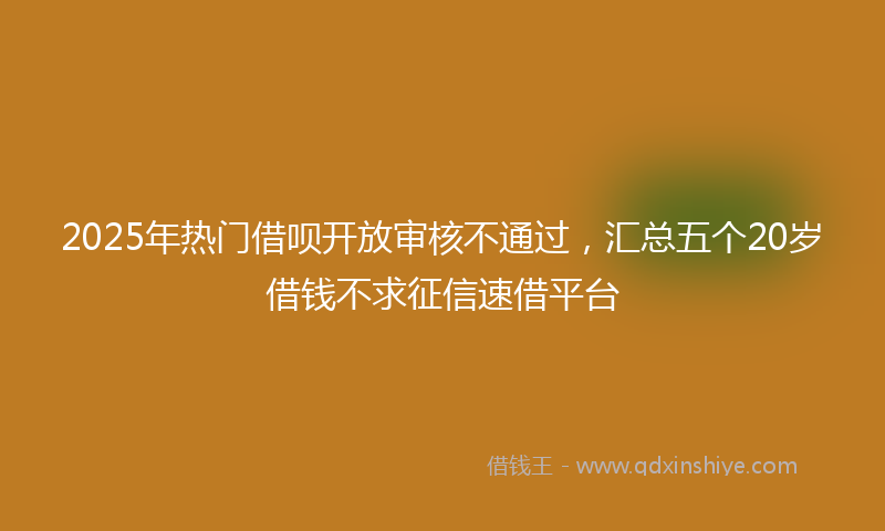2025年热门借呗开放审核不通过，汇总五个20岁借钱不求征信速借平台