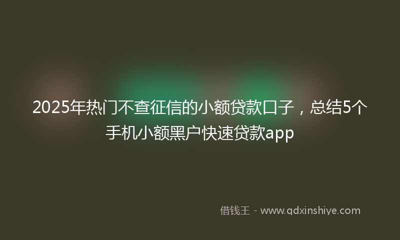 2025年热门不查征信的小额贷款口子，总结5个手机小额黑户快速贷款app