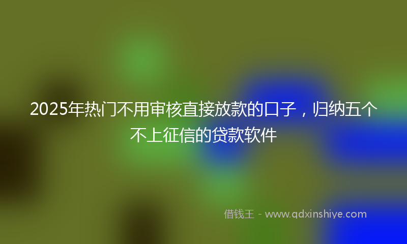 2025年热门不用审核直接放款的口子，归纳五个不上征信的贷款软件