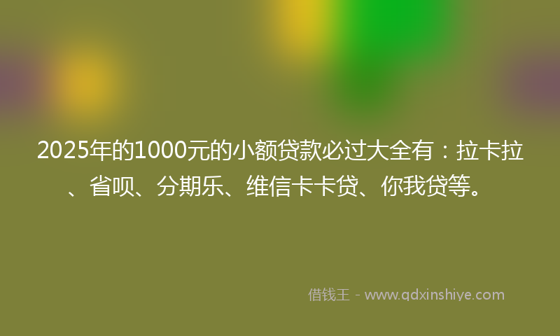 2025年的1000元的小额贷款必过大全有：拉卡拉、省呗、分期乐、维信卡卡贷、你我贷等。