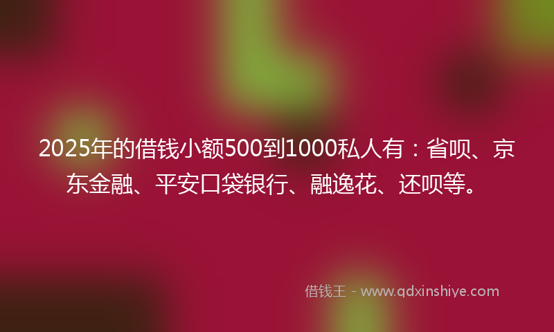 2025年的借钱小额500到1000私人有：省呗、京东金融、平安口袋银行、融逸花、还呗等。