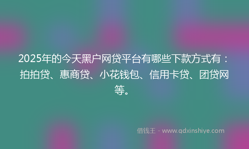 2025年的今天黑户网贷平台有哪些下款方式有：拍拍贷、惠商贷、小花钱包、信用卡贷、团贷网等。