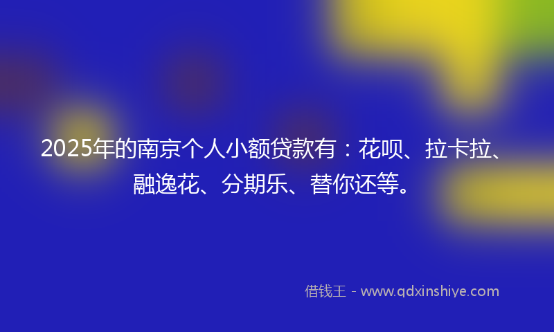 2025年的南京个人小额贷款有：花呗、拉卡拉、融逸花、分期乐、替你还等。