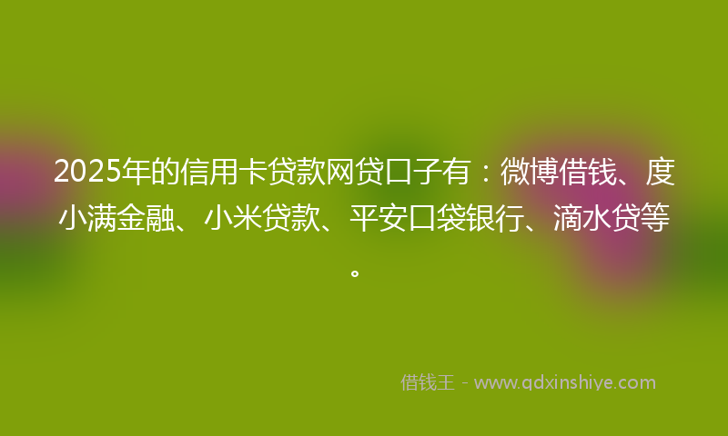 2025年的信用卡贷款网贷口子有：微博借钱、度小满金融、小米贷款、平安口袋银行、滴水贷等。