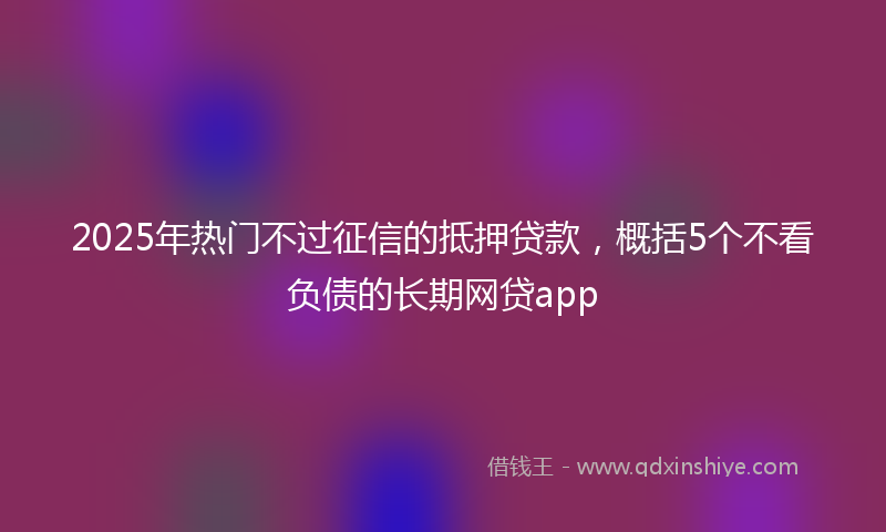 2025年热门不过征信的抵押贷款，概括5个不看负债的长期网贷app