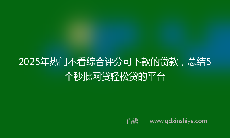 2025年热门不看综合评分可下款的贷款，总结5个秒批网贷轻松贷的平台