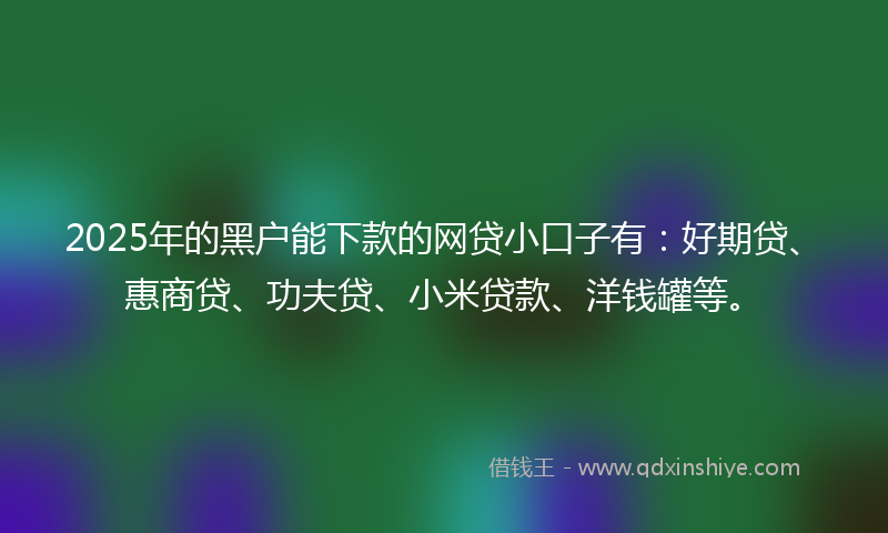 2025年的黑户能下款的网贷小口子有：好期贷、惠商贷、功夫贷、小米贷款、洋钱罐等。