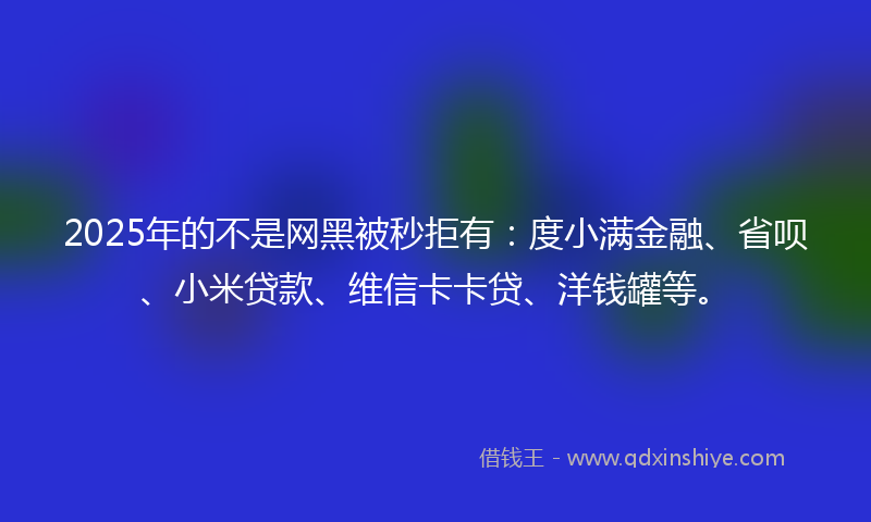2025年的不是网黑被秒拒有：度小满金融、省呗、小米贷款、维信卡卡贷、洋钱罐等。