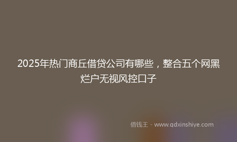 2025年热门商丘借贷公司有哪些，整合五个网黑烂户无视风控口子