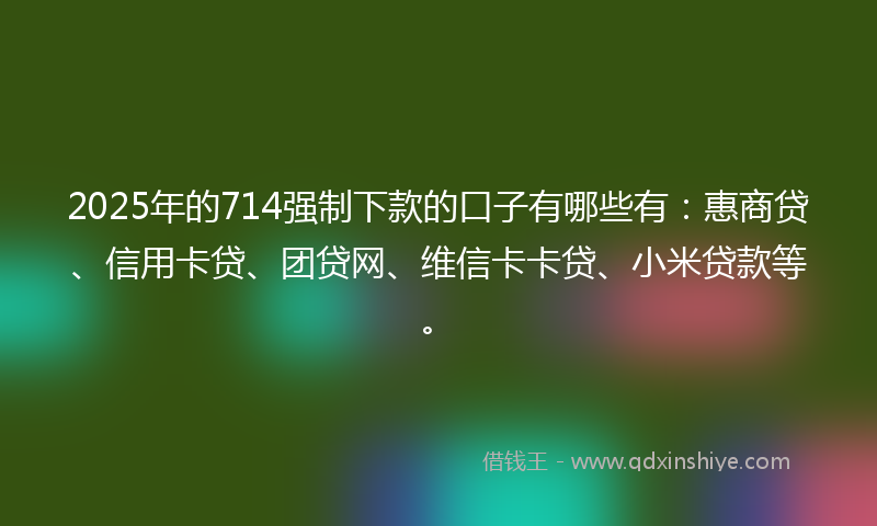2025年的714强制下款的口子有哪些有：惠商贷、信用卡贷、团贷网、维信卡卡贷、小米贷款等。