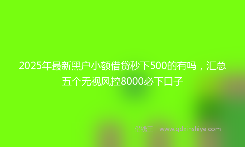 2025年最新黑户小额借贷秒下500的有吗，汇总五个无视风控8000必下口子