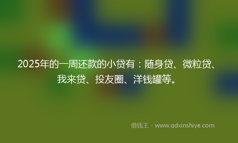 2025年的一周还款的小贷有：随身贷、微粒贷、我来贷、投友圈、洋钱罐等。