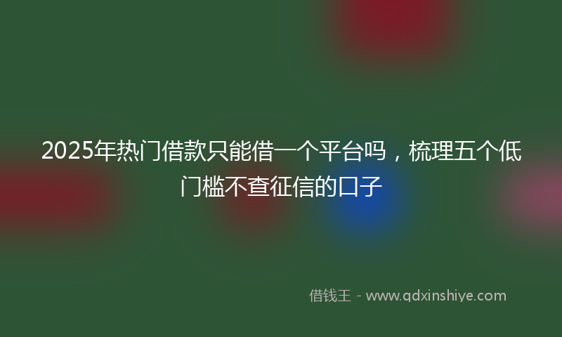 2025年热门借款只能借一个平台吗，梳理五个低门槛不查征信的口子