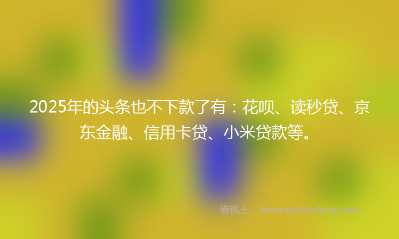 2025年的头条也不下款了有：花呗、读秒贷、京东金融、信用卡贷、小米贷款等。