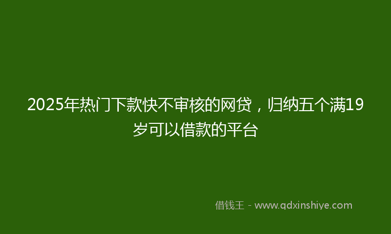 2025年热门下款快不审核的网贷，归纳五个满19岁可以借款的平台