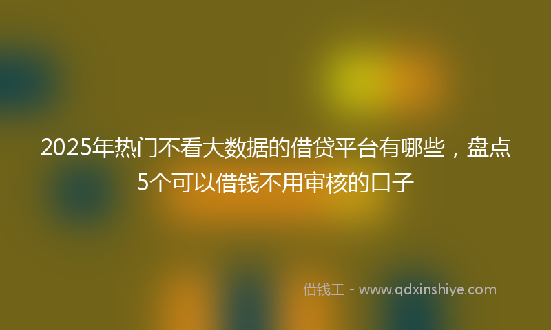 2025年热门不看大数据的借贷平台有哪些，盘点5个可以借钱不用审核的口子